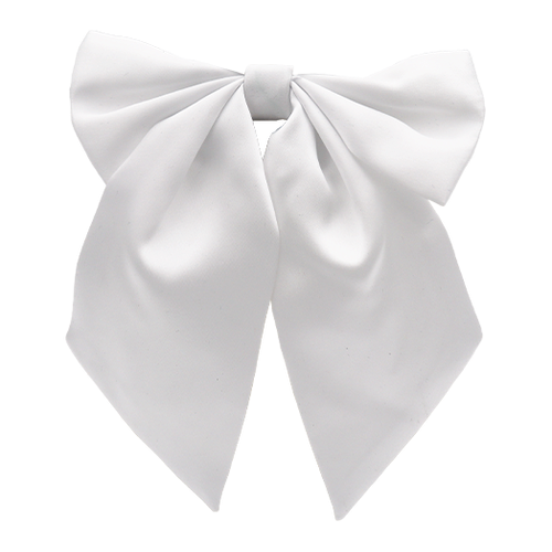 Nœud papillon (Femmes )