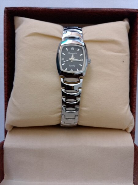 Montre Élégante Femme en Acier