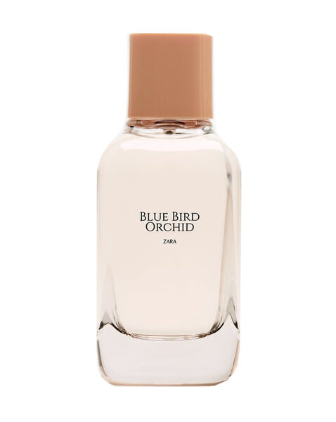 Parfum Zara Blue Bird Orchid