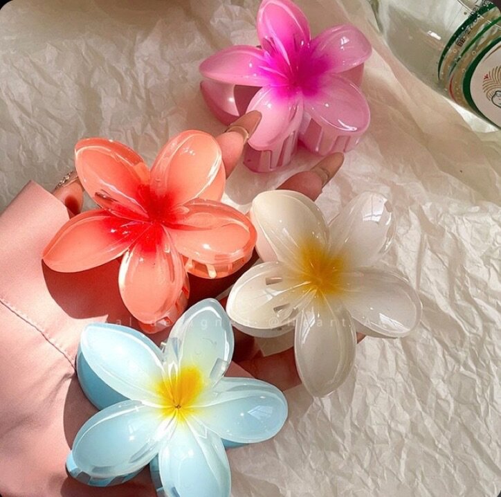 Barrette de cheveux tendance