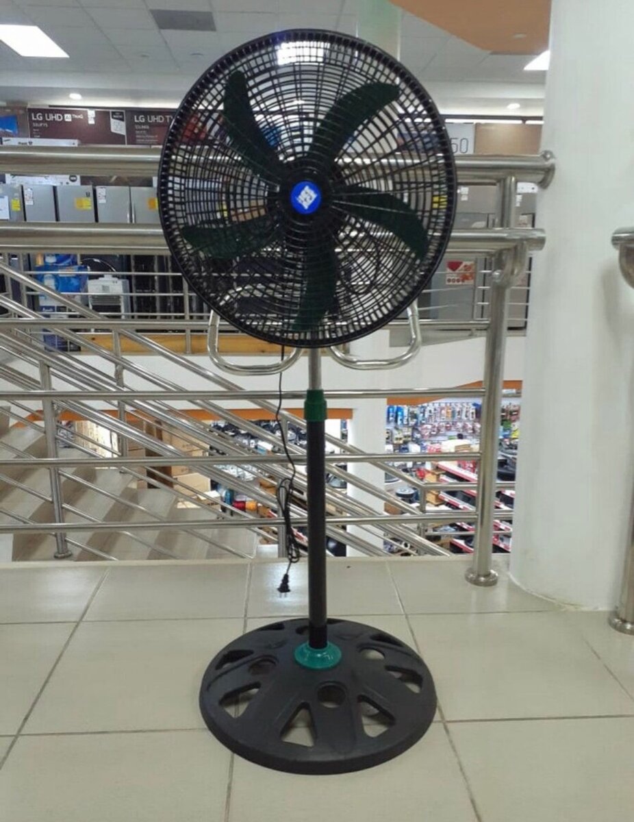 Fan