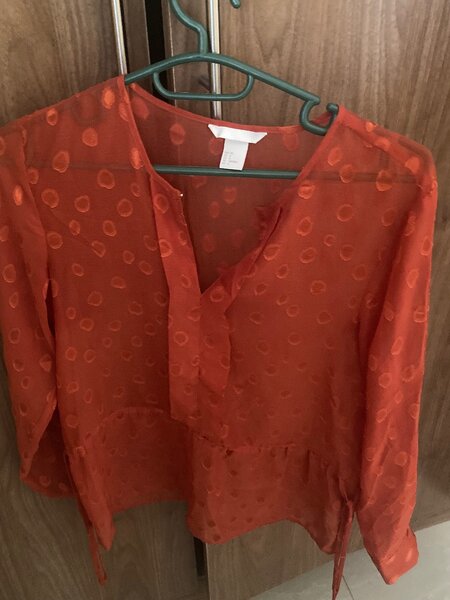 Blouse- Rusty orange