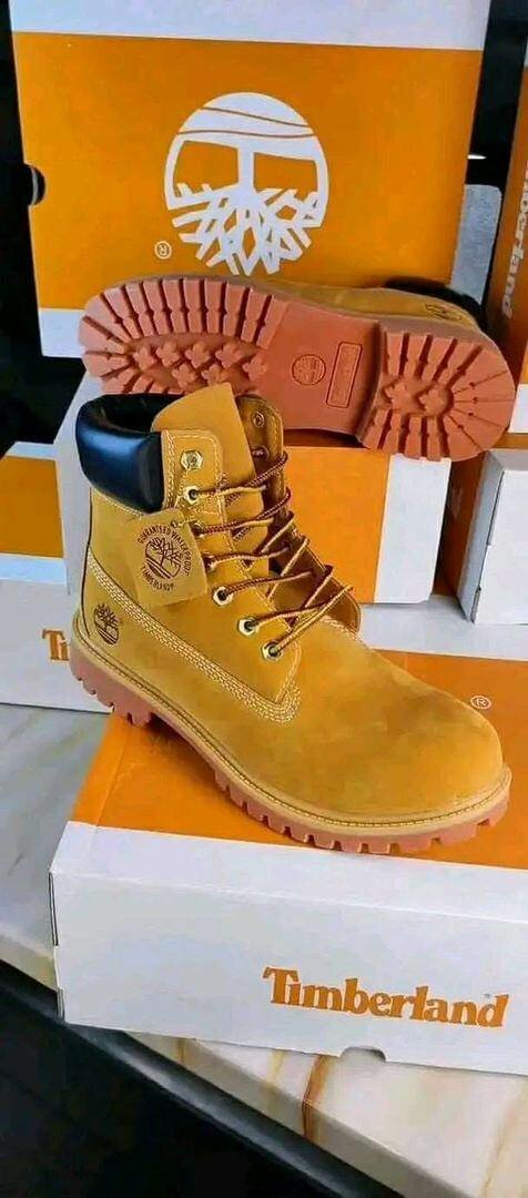 Chaussures Timberland montante