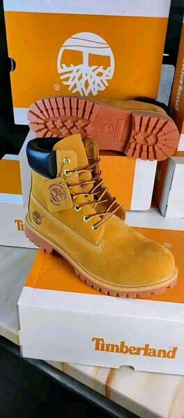 Chaussures Timberland montante
