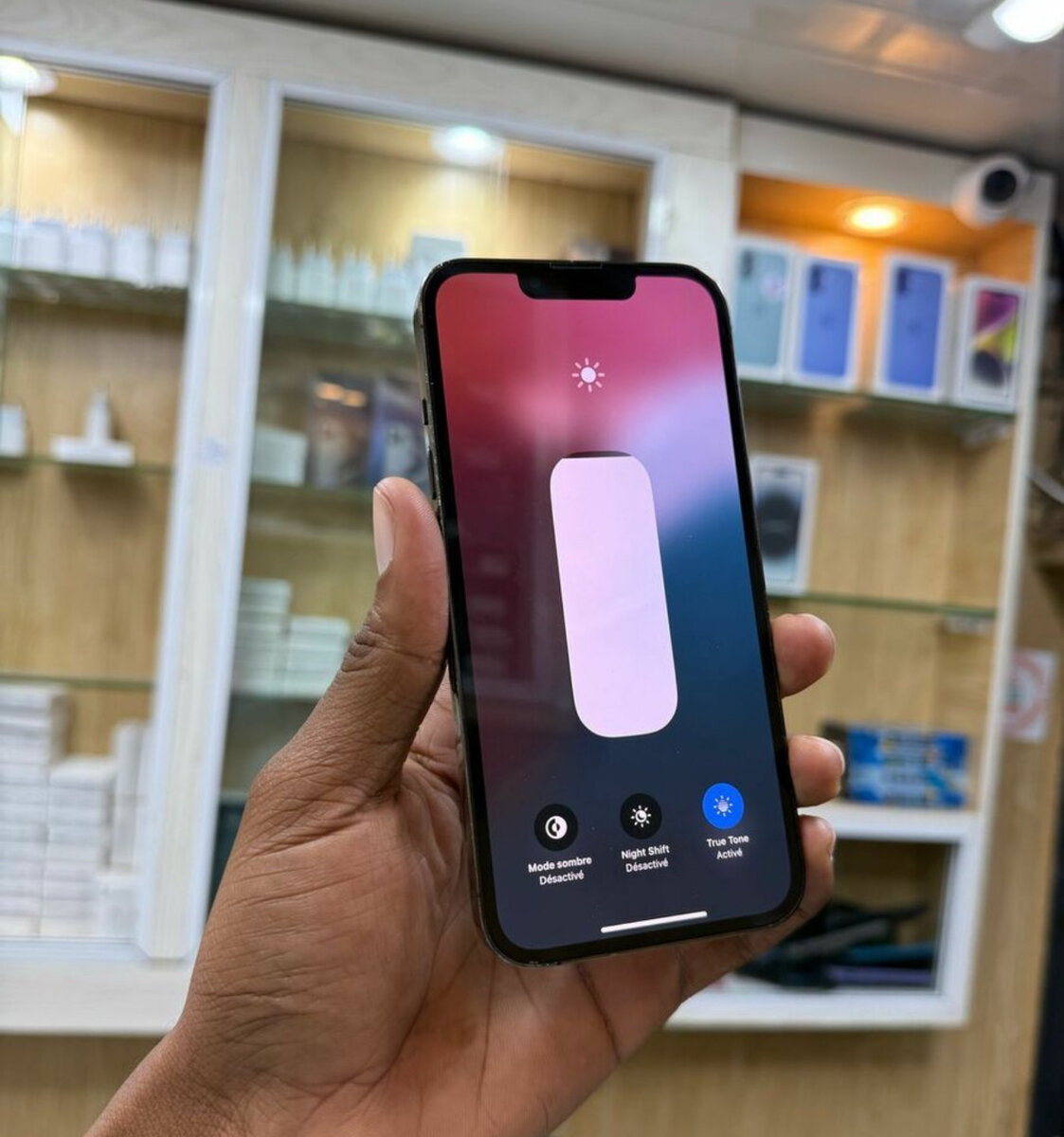 iPhone 15 Pro Max Gris