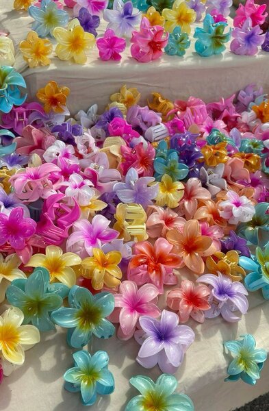 12 Pinces à cheveux en forme