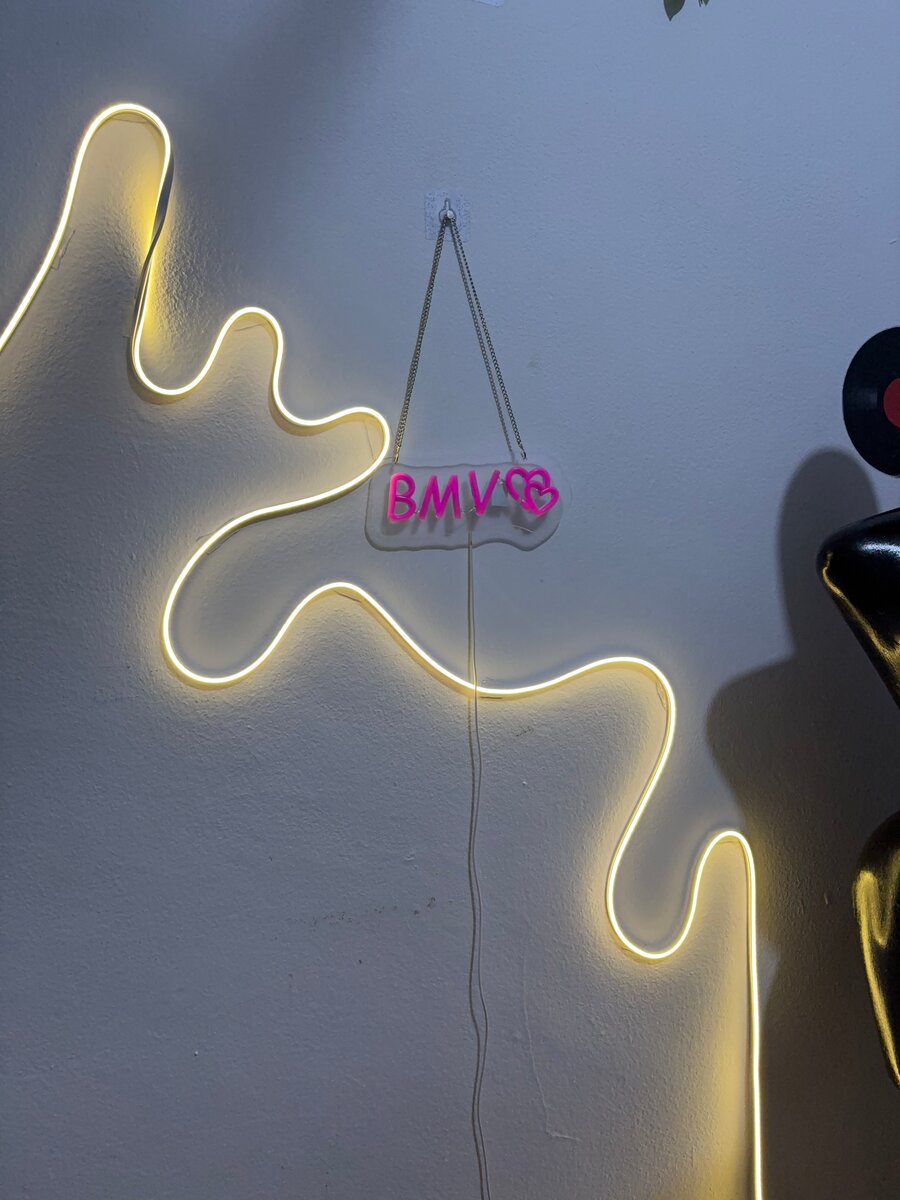 Néon LED Flexible 5m