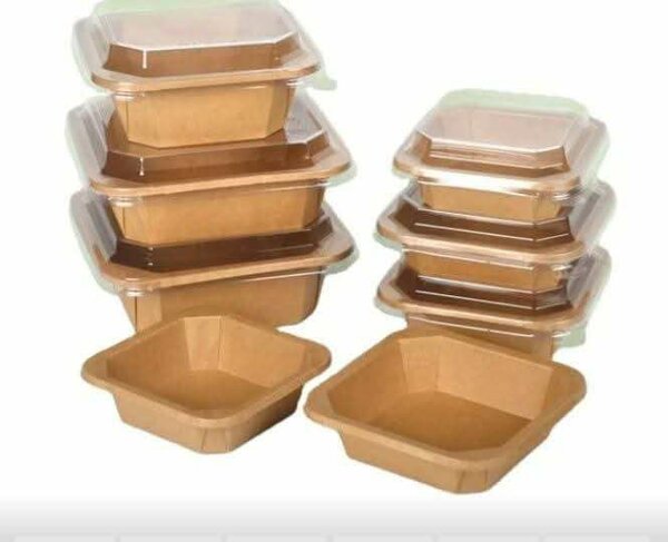 Boîtes Repas Écologiques