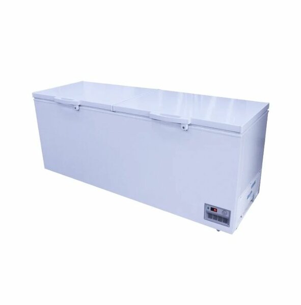 Congélateur Coffre Commercial Grande Capacité