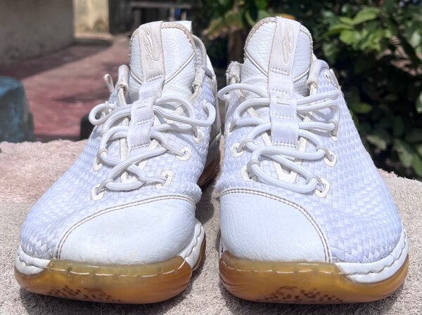 NikeLeBron 14 Low 'Ice'