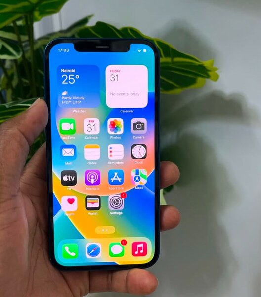 Clean Apple iPhone 12