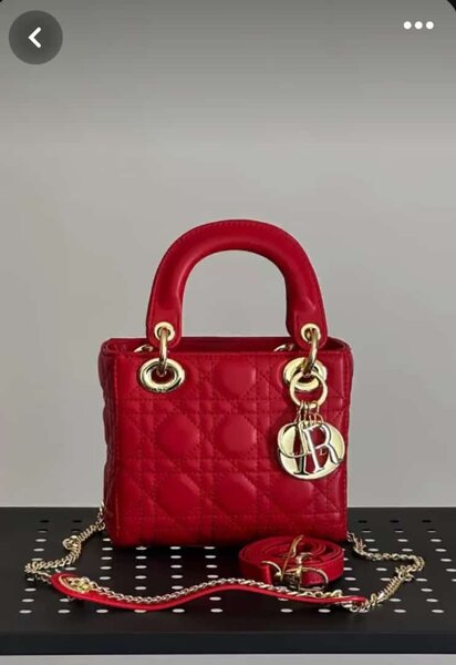 Ladies bag