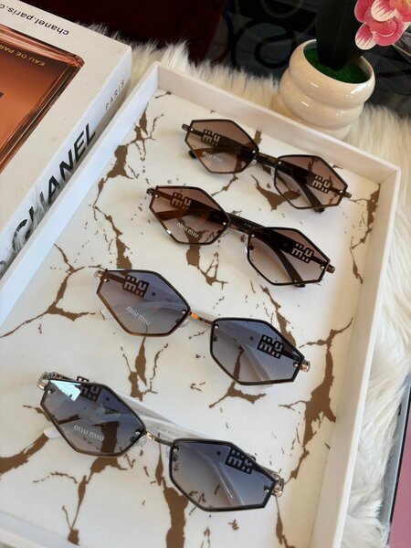 Lunettes de soleil élégantes