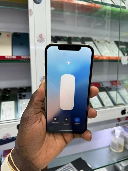 iPhone 12 Pro Max