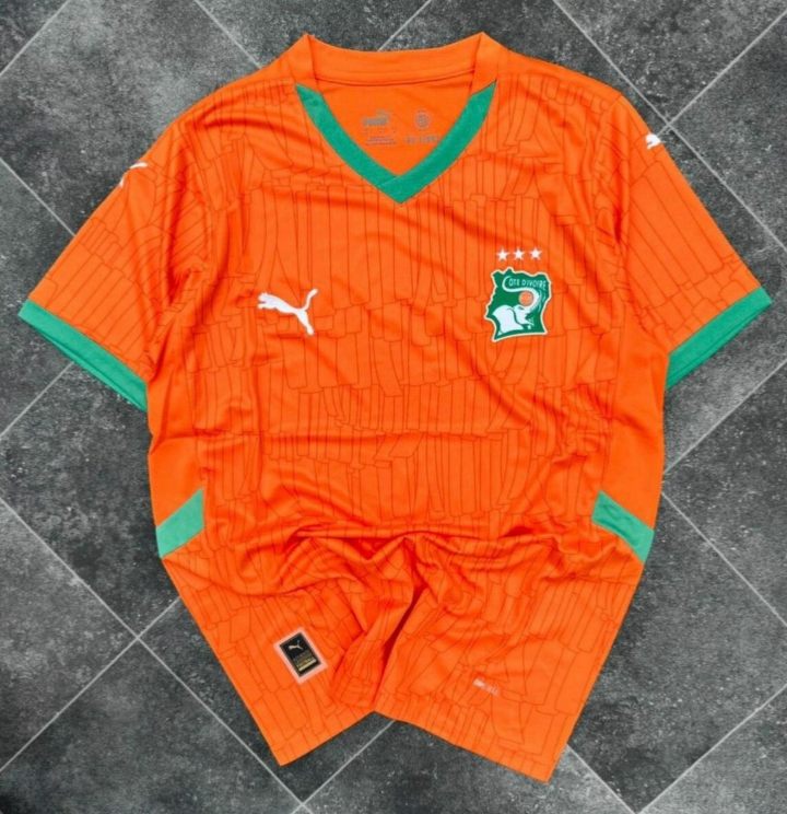 Maillot Côte d'Ivoire Puma