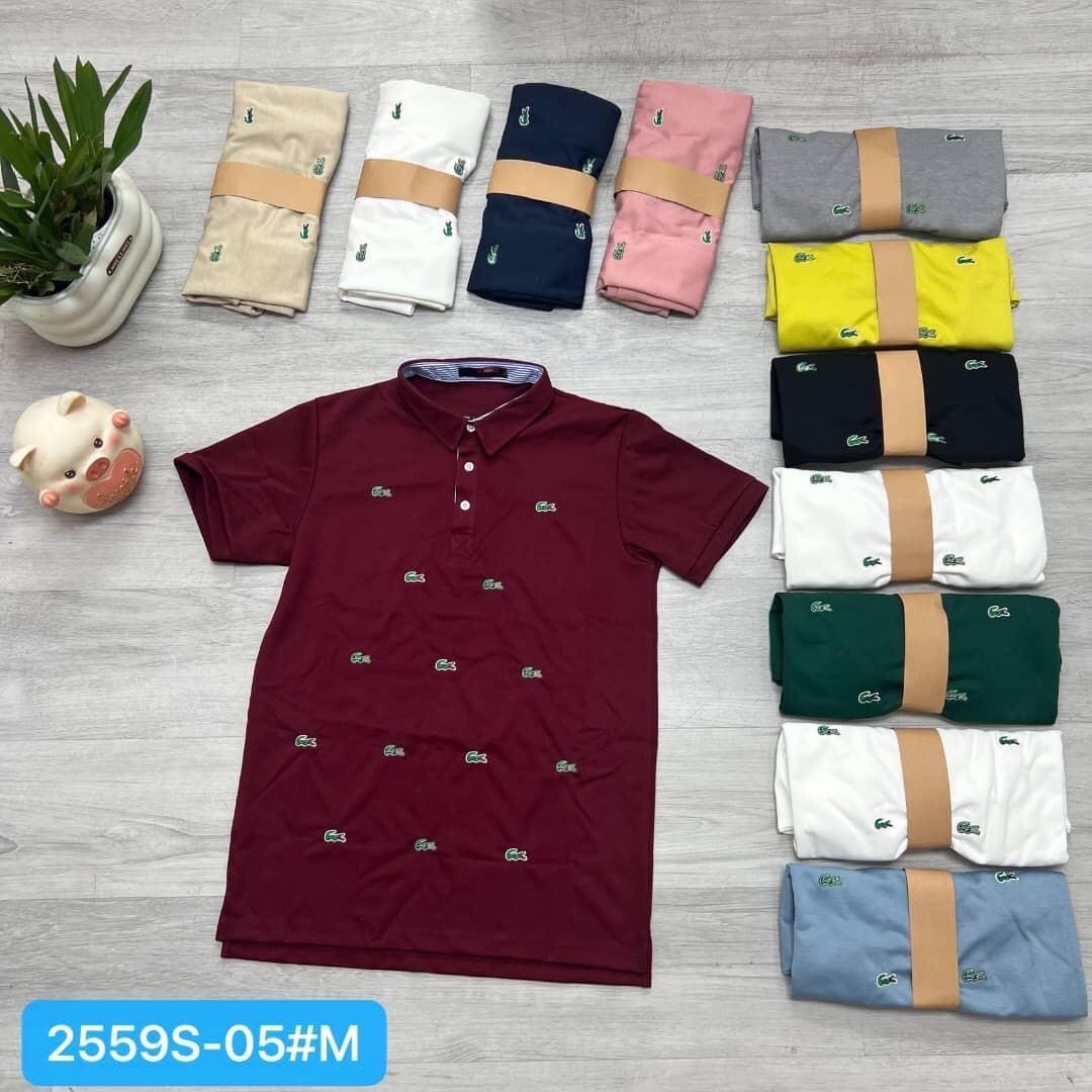 Lot de Polos Homme éclatants