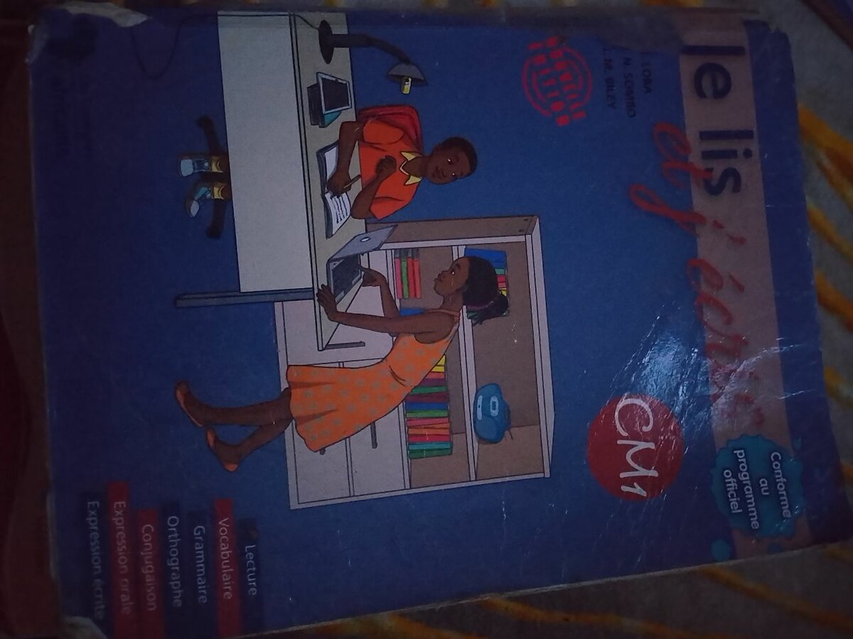 Lot de manuels scolaires CE1 et CM1