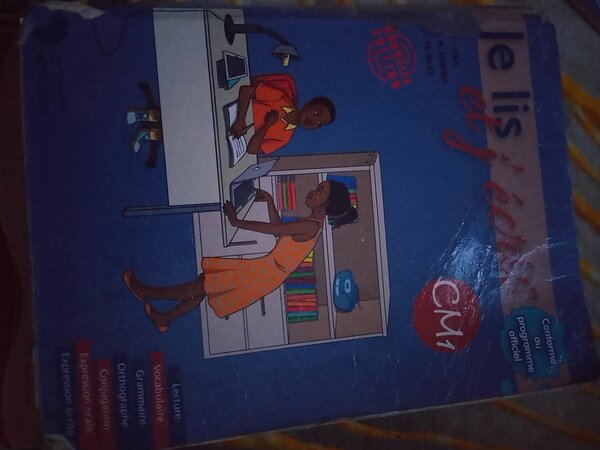 Lot de manuels scolaires CE1 et CM1