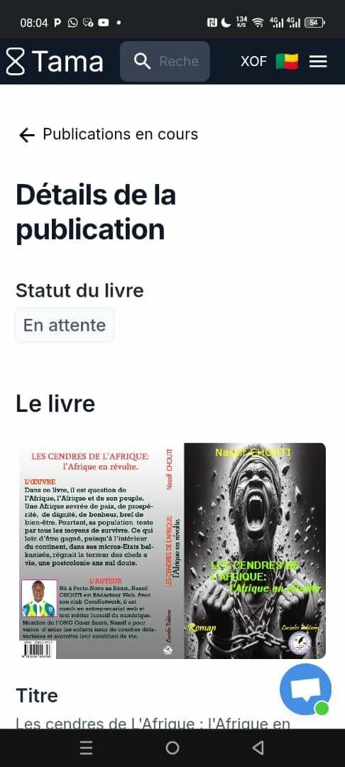 LES CENDRES DE L'AFRIQUE