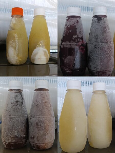 Bouillon de Poisson Authentique