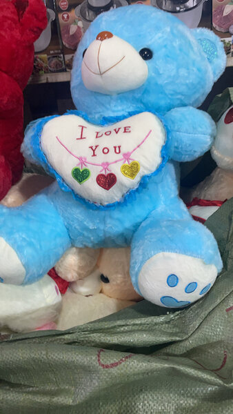 Ours en peluche grand