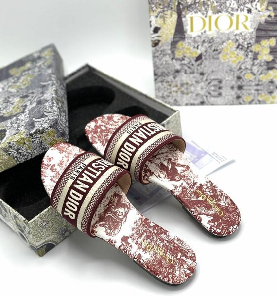 Christian Dior slippers