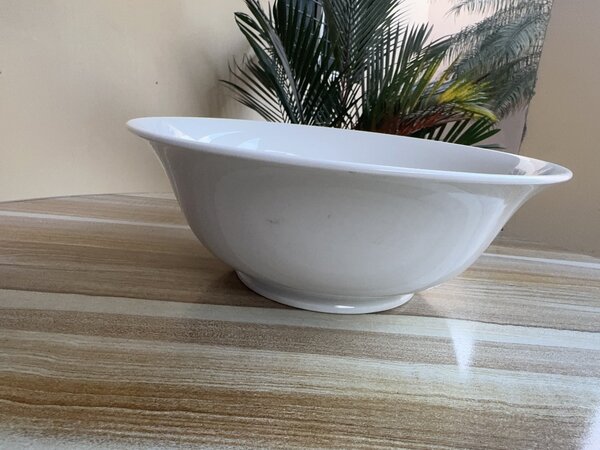 Elegant White Ceramic Bowl