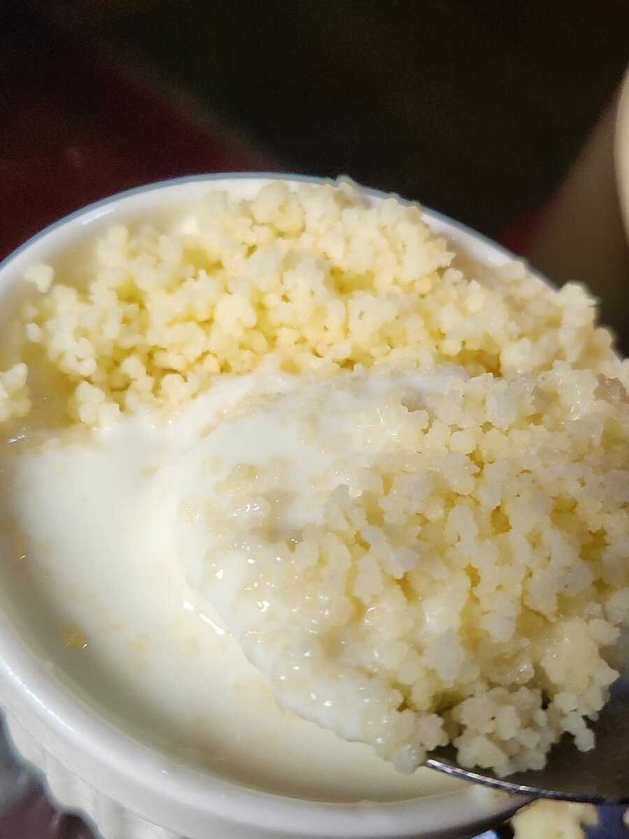 Yaourt au Couscous Délicieux