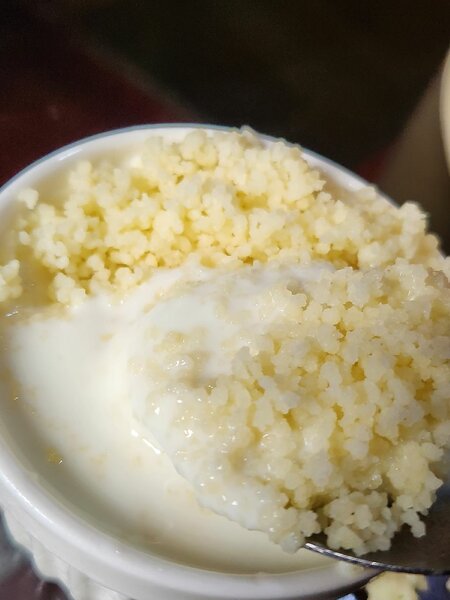 Yaourt au Couscous Délicieux