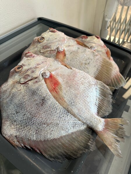 StPierre local Poisson de mer