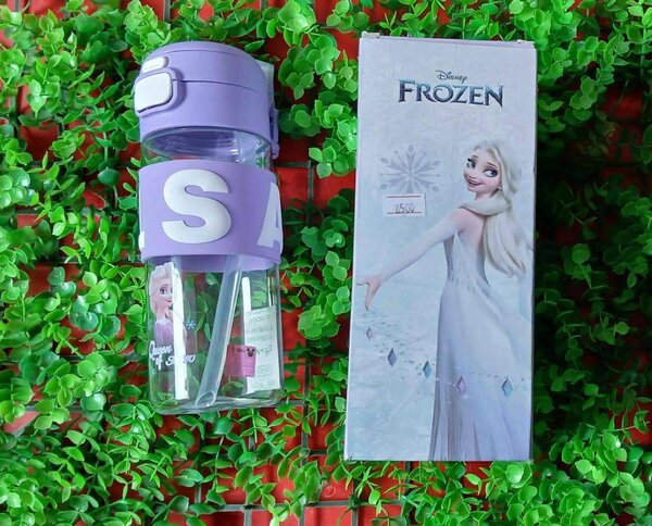 Gourde Reine des Neiges Elsa