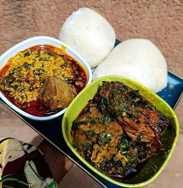 Les plant yorob Placali anago