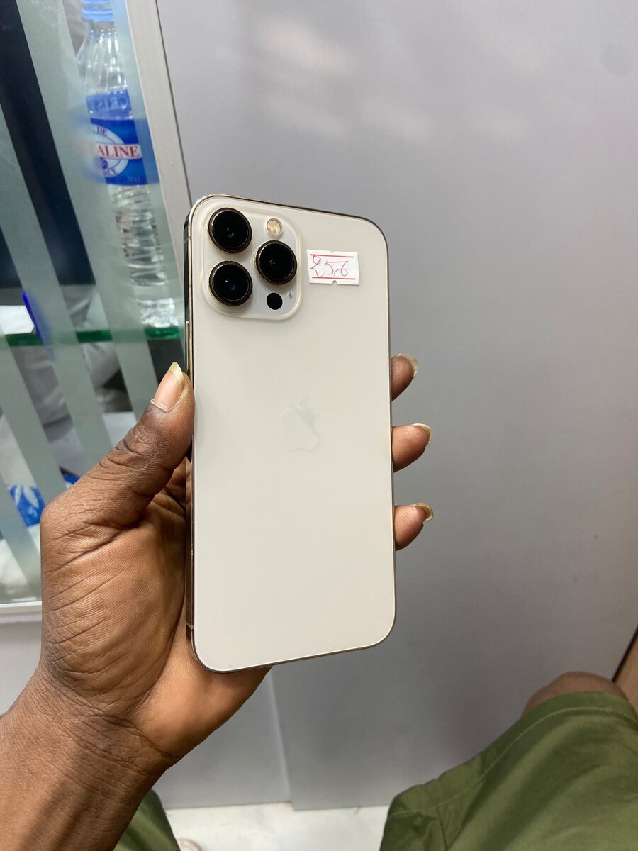 13 Pro Max 256Go avec carton