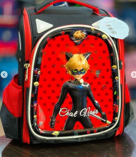 Backpack with Ladybug print