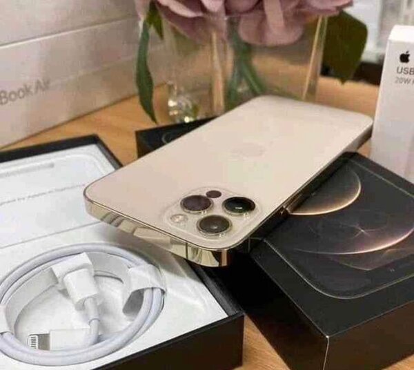 iPhone 12Pro Max Haut de Gamme