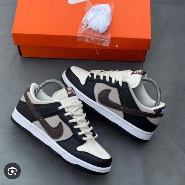 Nike Sb avec le carton