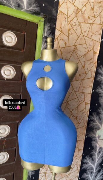 Robe moulante élégante