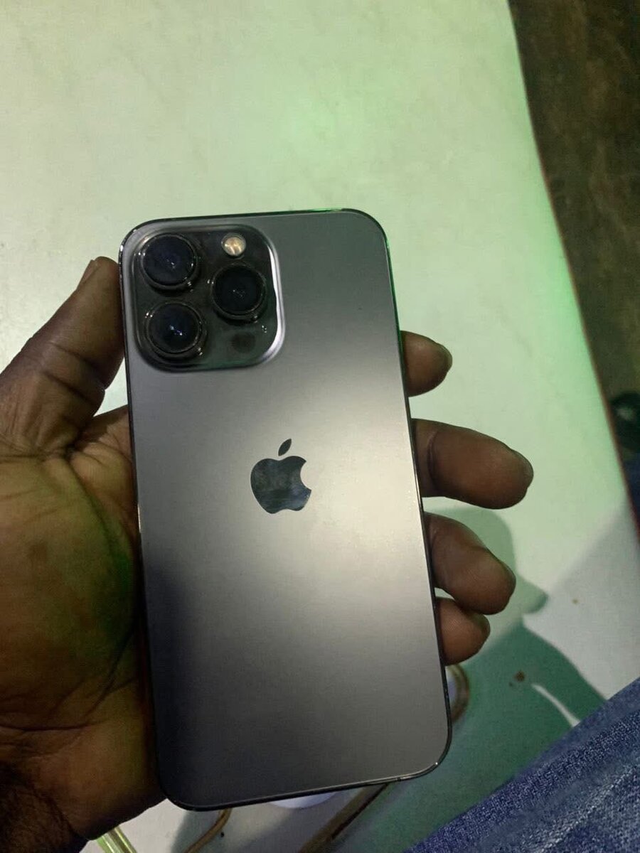 iPhone 13 Pro Max Gris