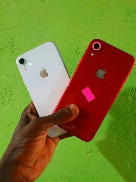 Smartphones iPhone XR Dual