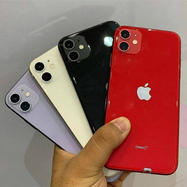 iPhone 11 - Multicolore