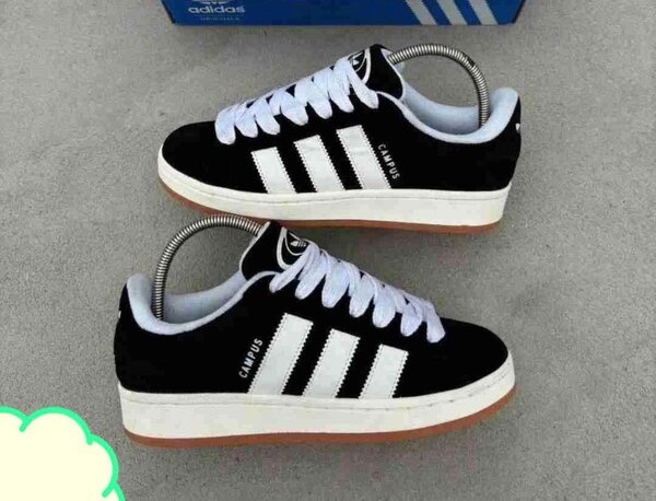 Adidas Campus avec  le carton