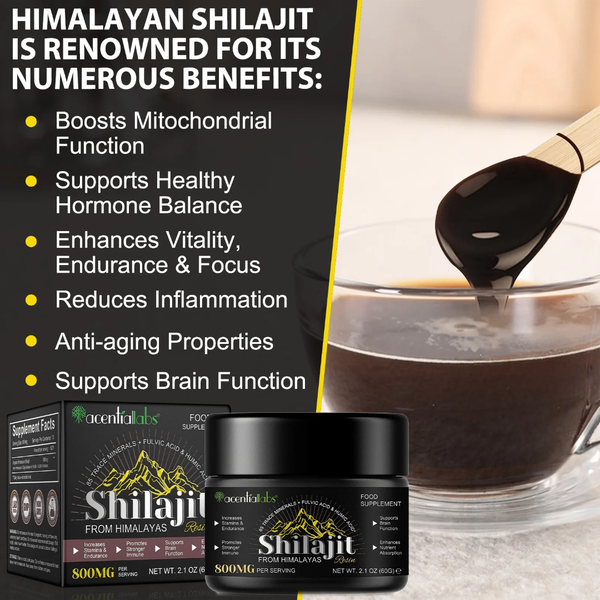Résine de Shilajit Himalaya