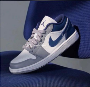 Baskets Nike Air Jordan 1