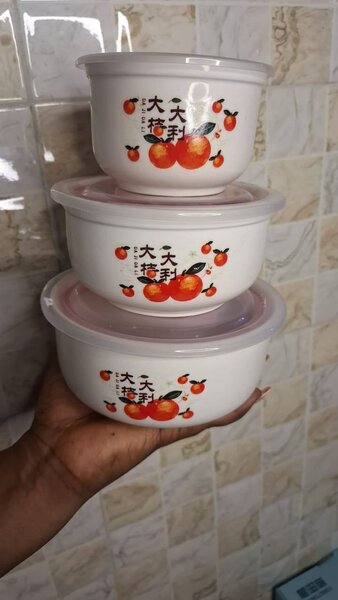 Set de Bols de Rangement Hermétiques