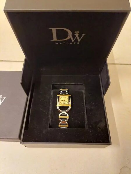 Ladies elegant watch