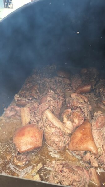 Porc africain au four