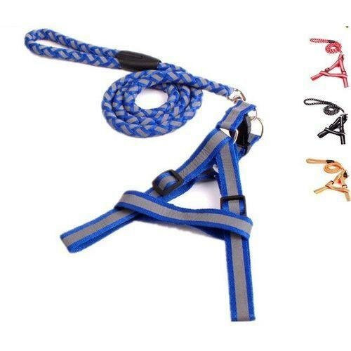 Harnais + Laisse Pour Petit Chien & Chiot