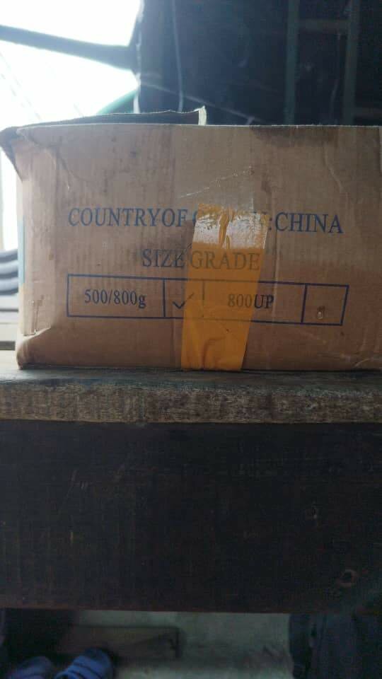 Tilapia fraîche 500/800g