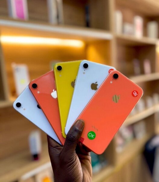 iPhone XR Multicolore