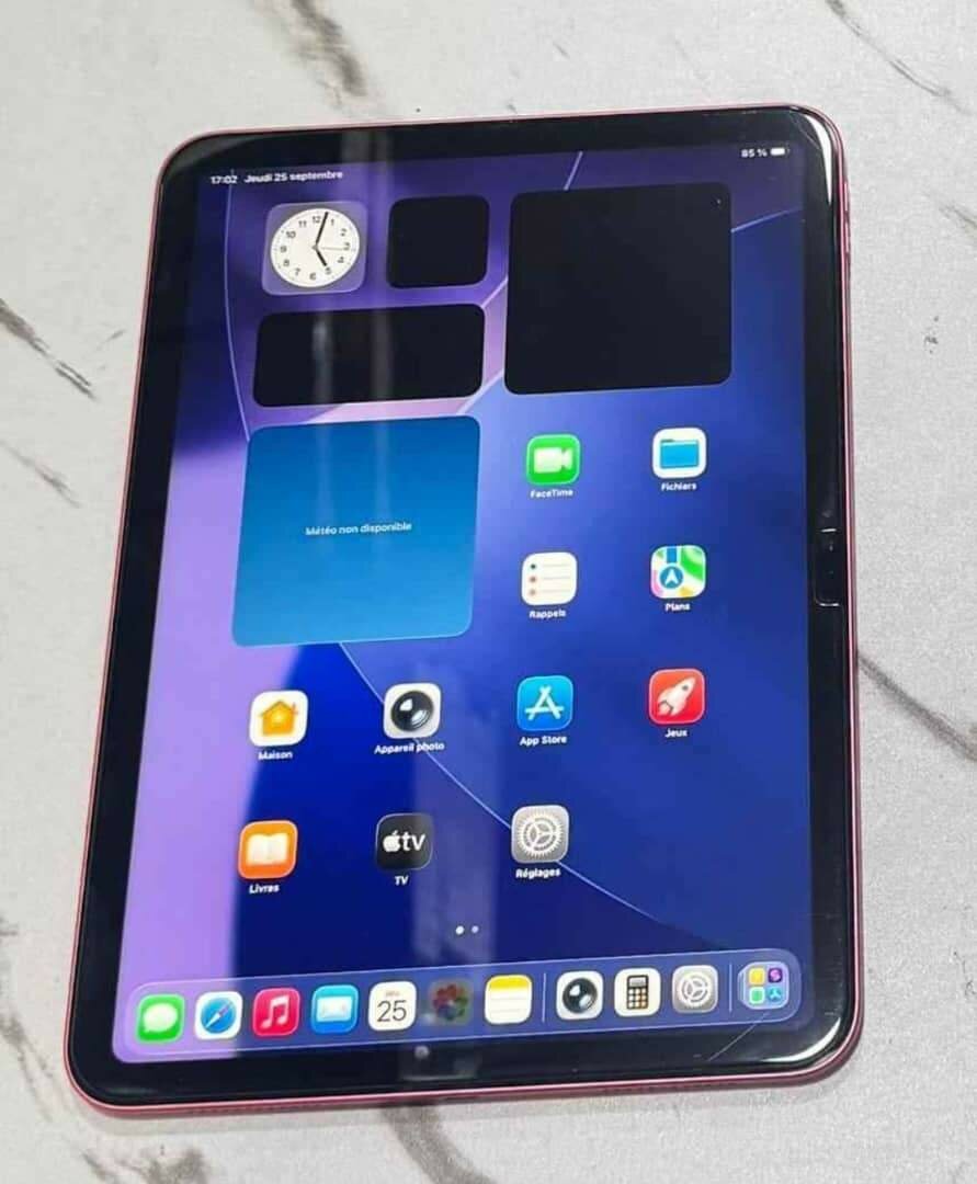 iPad Air Rose élégant